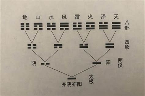 變爻判斷|六爻卦象中的变爻代表什么意思？有何方法断变爻？